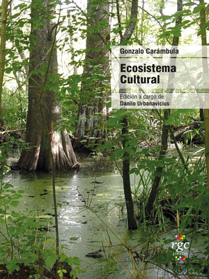 cover image of Ecosistema cultural